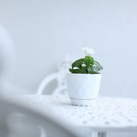 Mare 4* Δυρράχιο